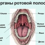 болит горло после алкоголя