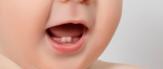 When does a baby&#39;s first teeth erupt?