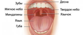 tonsils