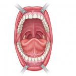 Слизистая полости рта на что обратить внимание