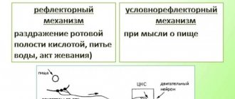 Состав слюны человека: нормальные показатели биологической жидкости