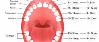 timing of tooth loss