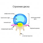 Строение диска