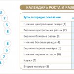 Таблица и схема по месяцам: во сколько у детей начинают резаться зубки