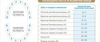 Таблица и схема по месяцам: во сколько у детей начинают резаться зубки